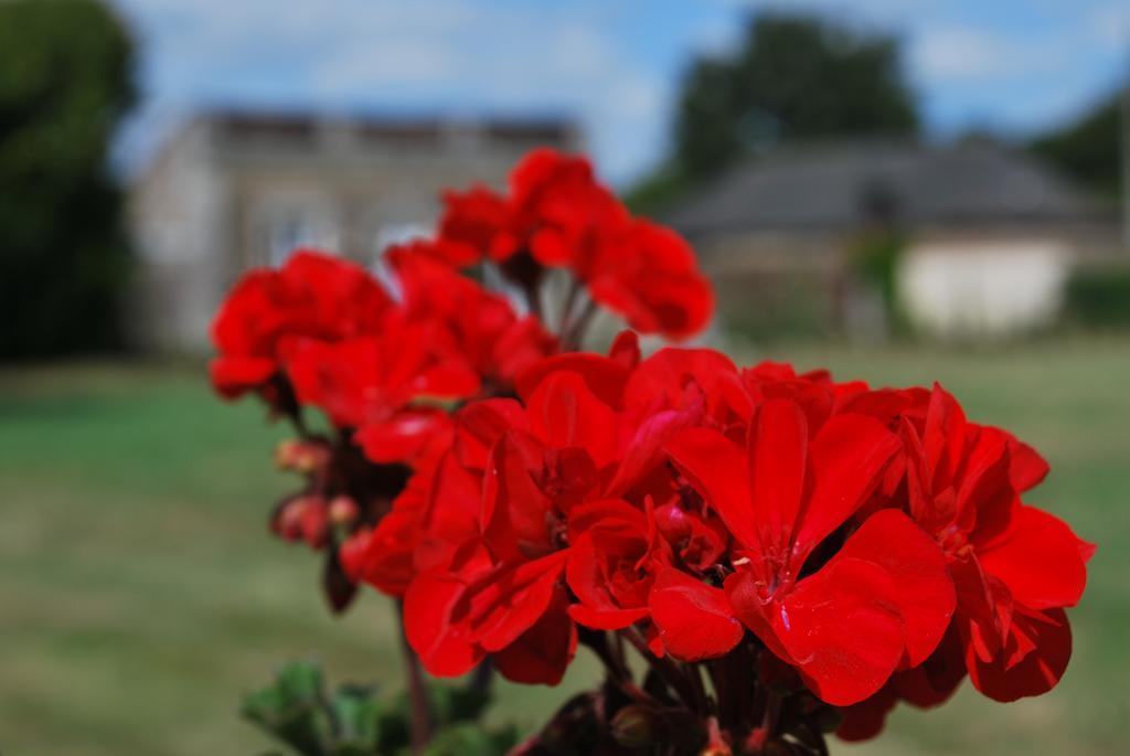Chateau Des Lutz